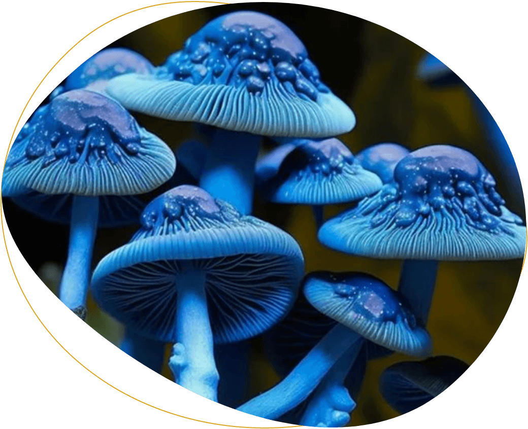 Blue Meanies Mushrooms: Everything You Need to Know